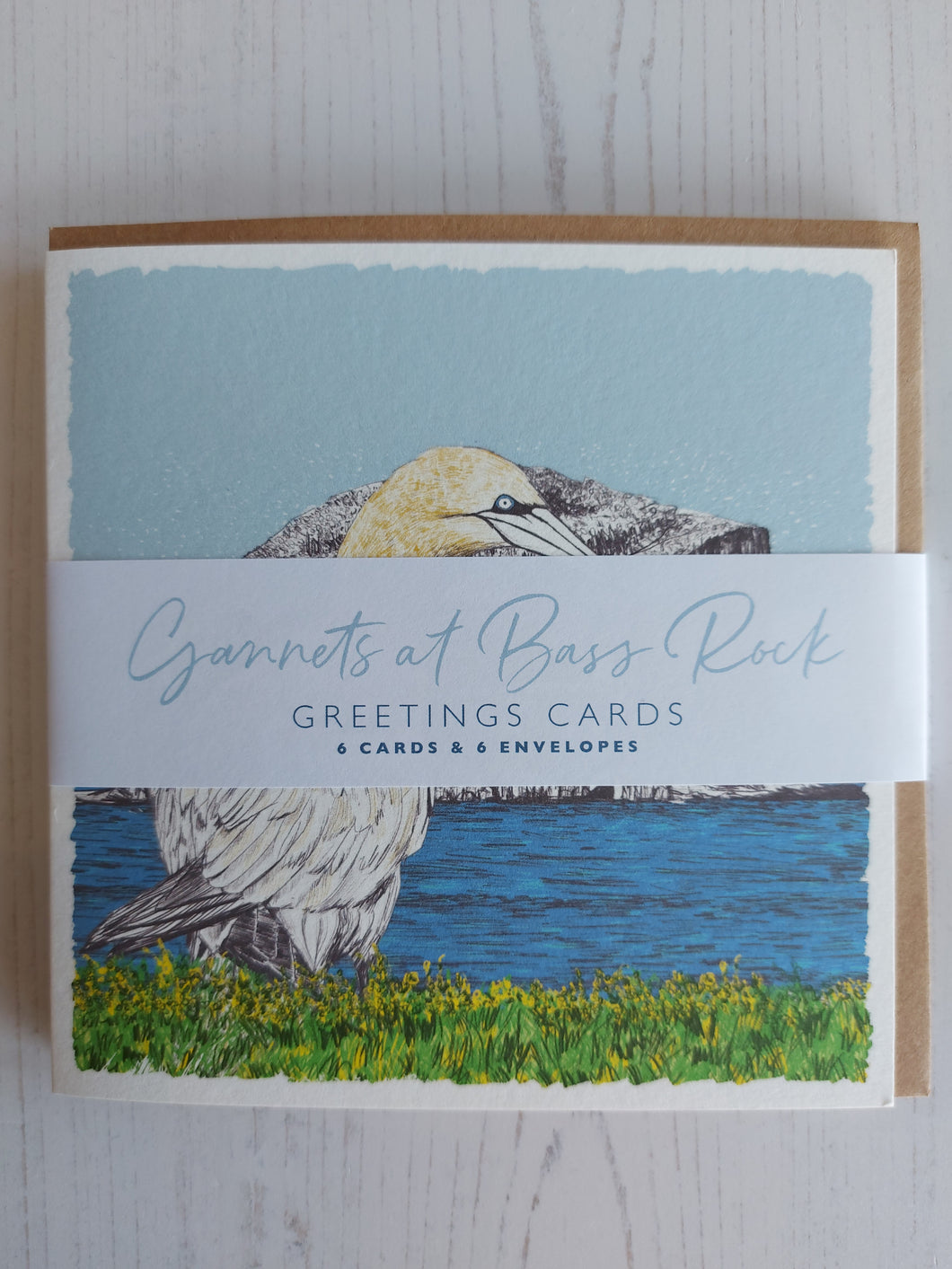 Bespoke Bass Rock Gannet Greetings Cards - pack of 6