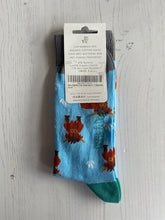 Load image into Gallery viewer, Blue Highland Cow Socks size 3 - 7
