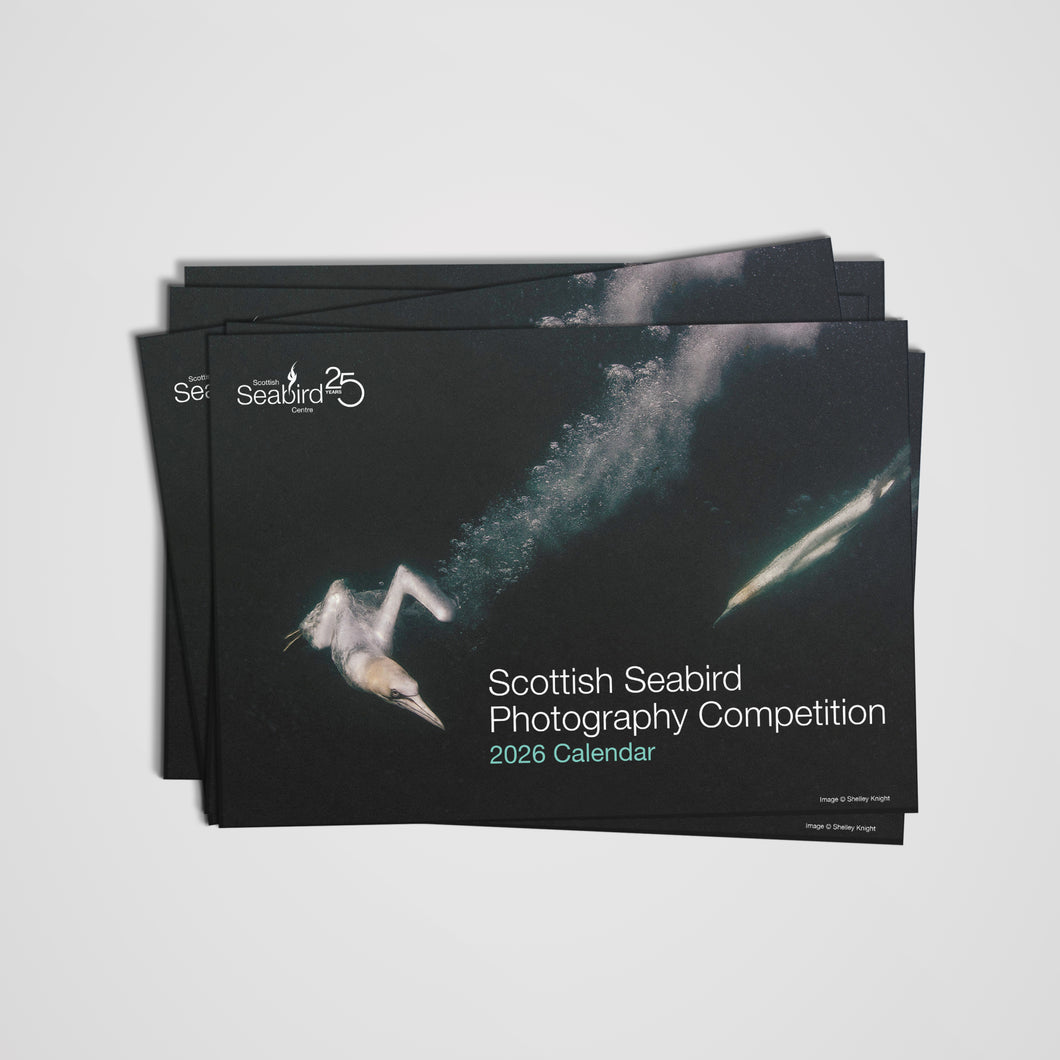 Scottish Seabird Centre - Seabird Photography Calendar 2026