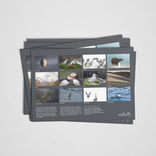 Load image into Gallery viewer, Scottish Seabird Centre - Seabird Photography Calendar 2026
