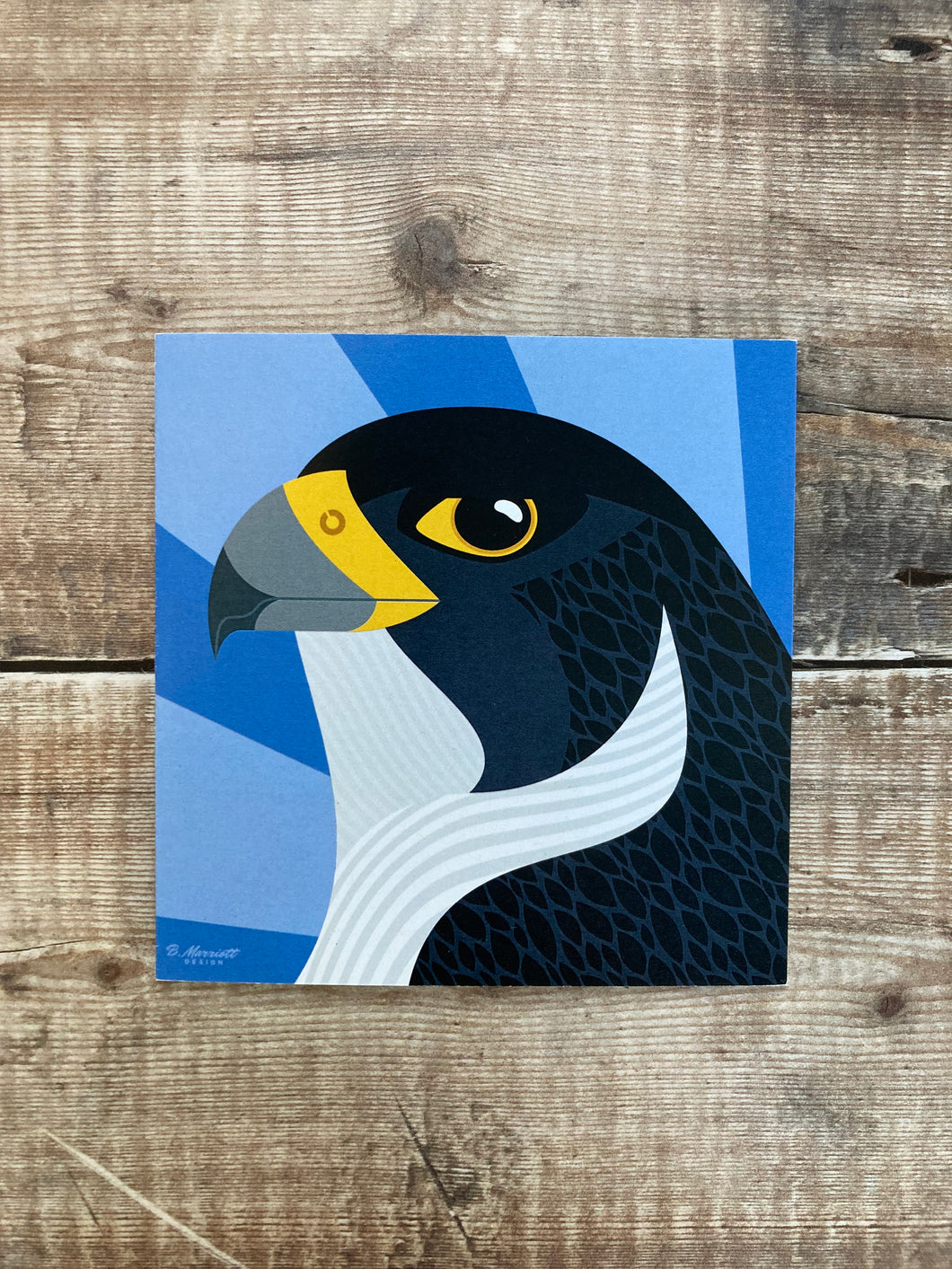 Peregrine Falcon Portrait Greetings Card