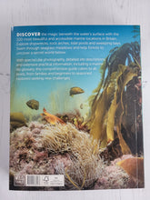 Load image into Gallery viewer, Snorkelling Britain 100 Marine Adventures
