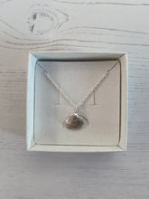 Load image into Gallery viewer, Striped Tellin Shell Pendant Necklace
