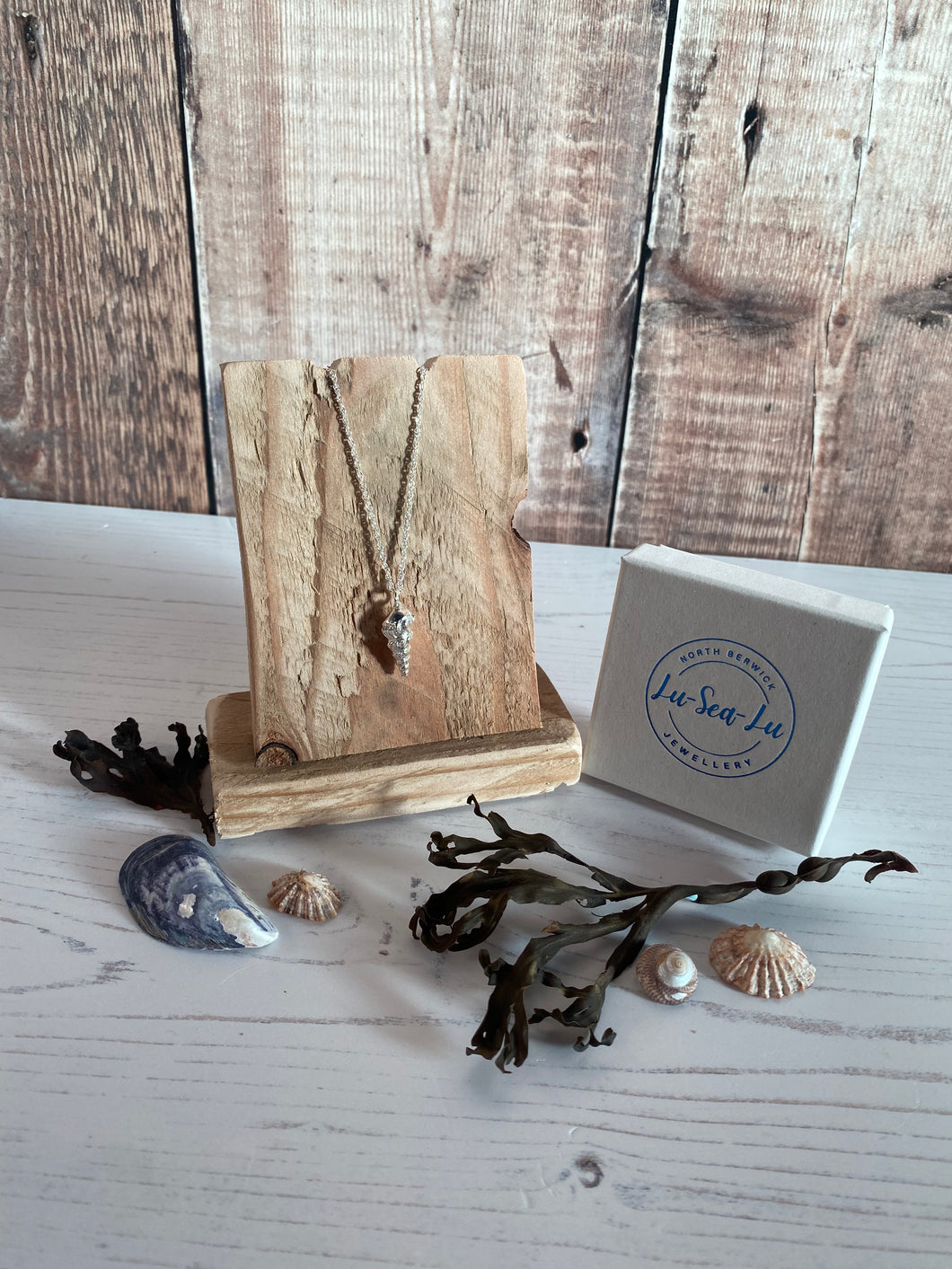 Spiral Auger Shell Pendant Necklace