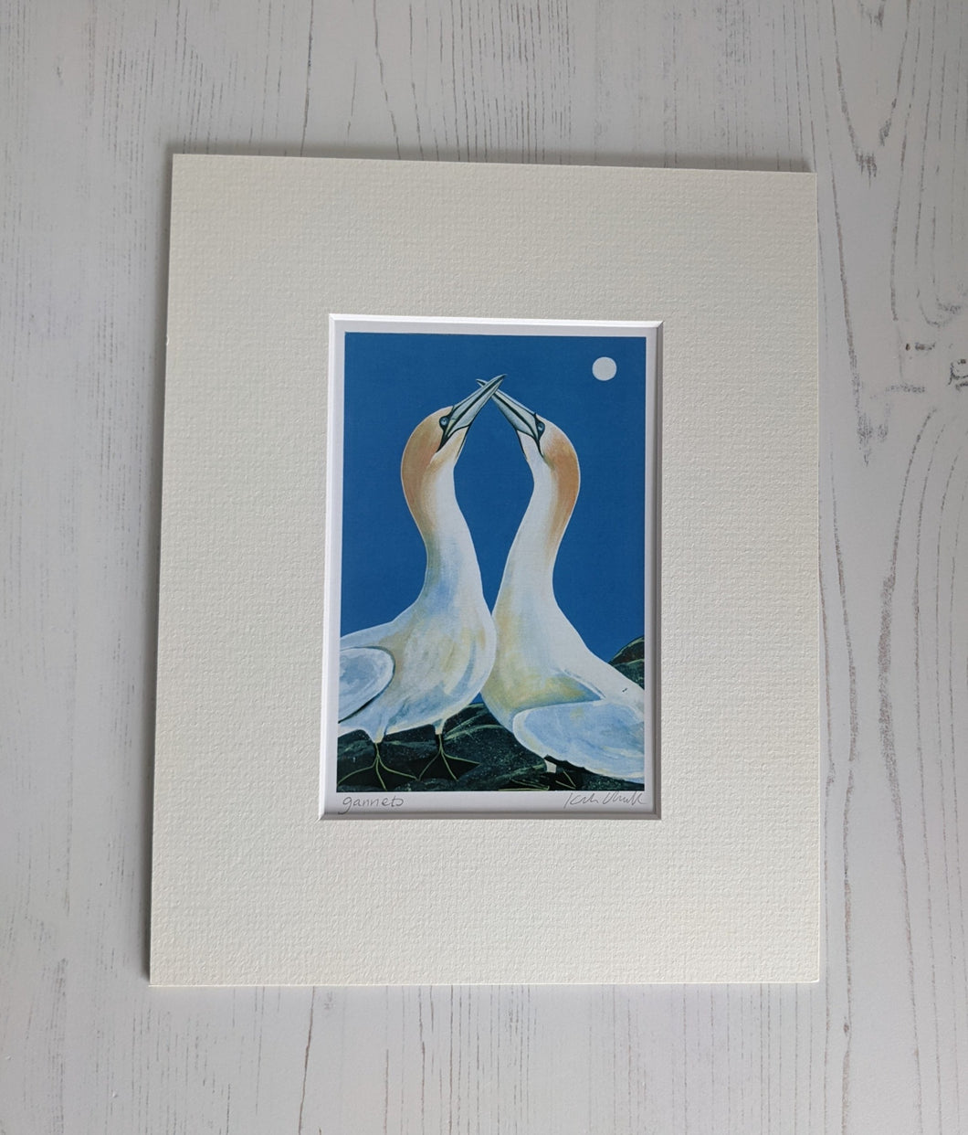 Keli Clark Gannets A6 Print