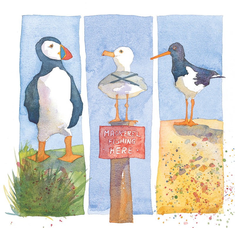 Seabirds card