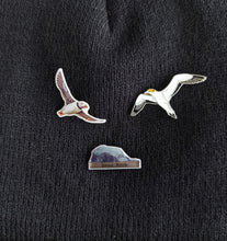Load image into Gallery viewer, Bass Rock Enamel Pin Badge
