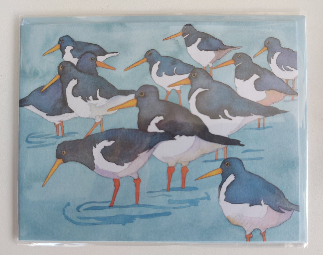 Spot the Difference Oystercatcher card